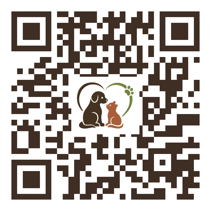 QR-код Telegram-чата @KOLODISCHISOS