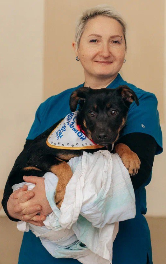 Shokolapka