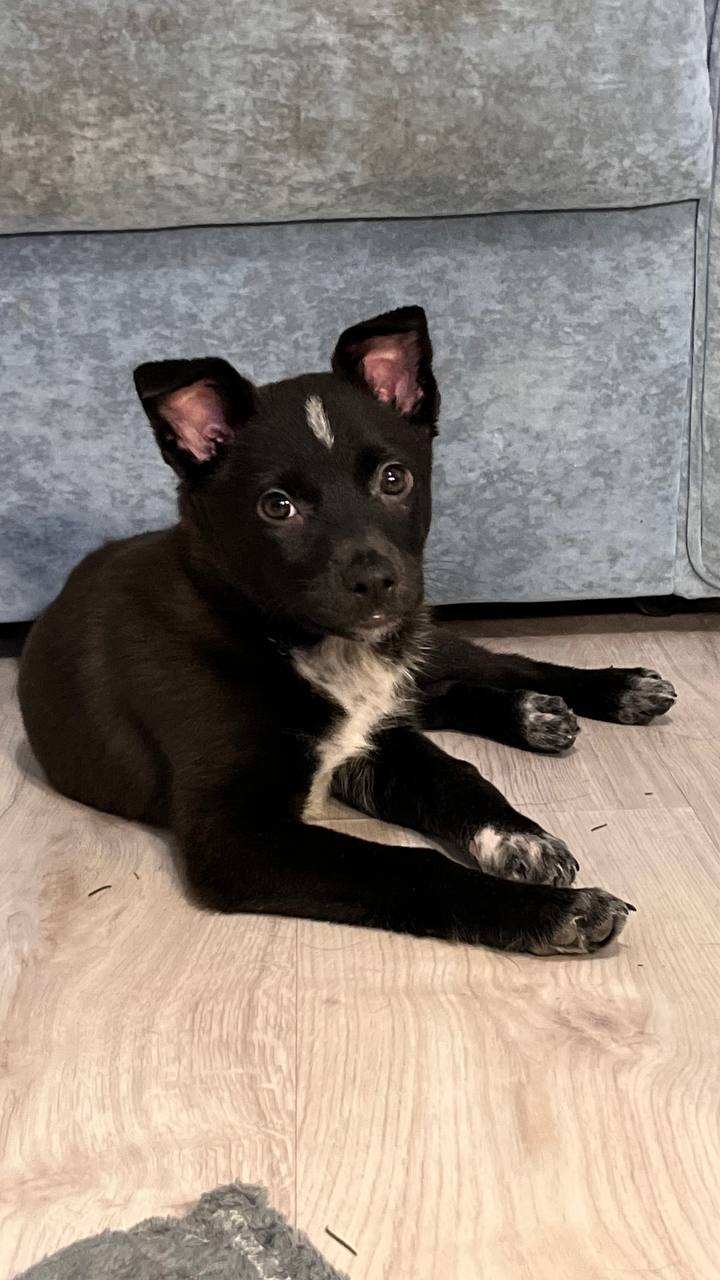 Yuki