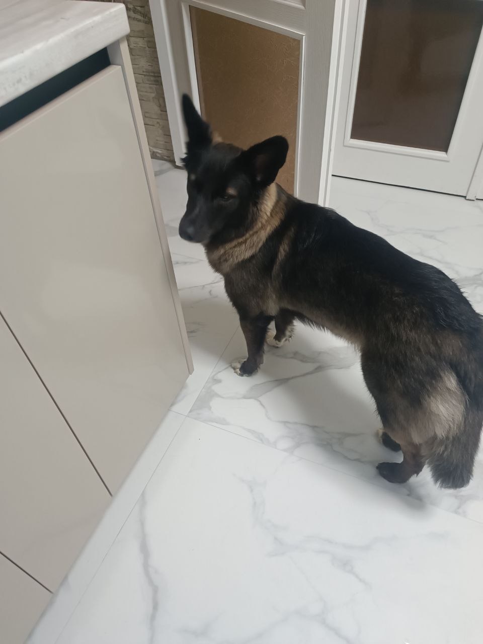 Mia (Knopochka)
