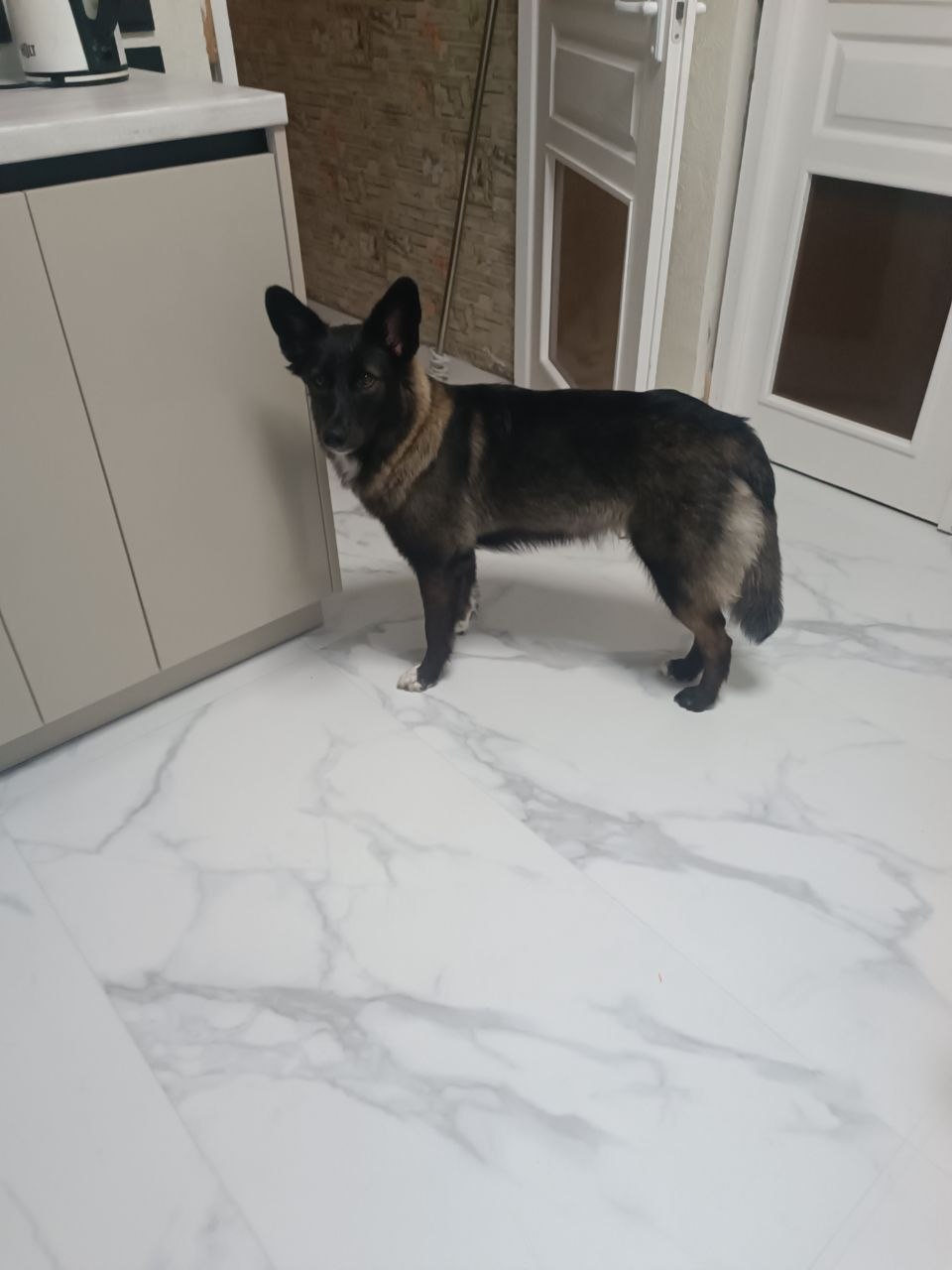 Mia (Knopochka)