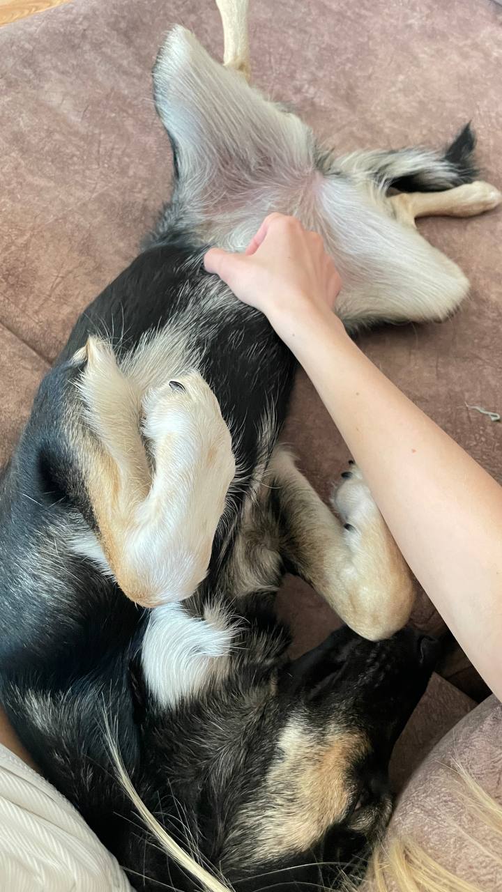 Milka